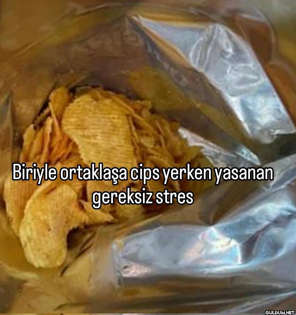 Biriyle ortaklaşa cips...