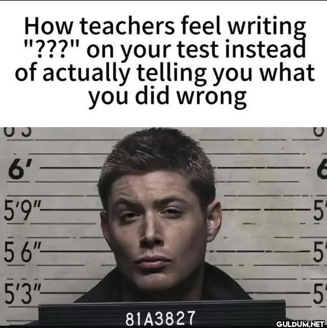 How teachers feel writing...