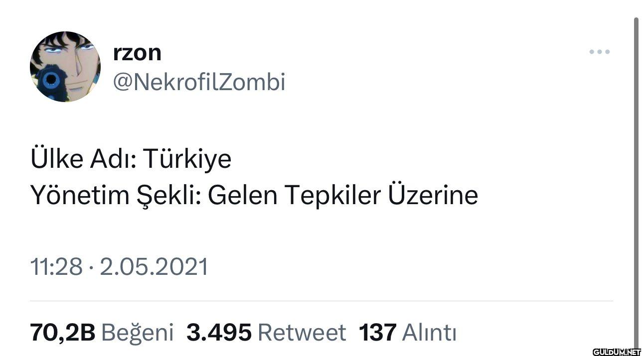 Ülke Adı: Türkiye Yönetim...