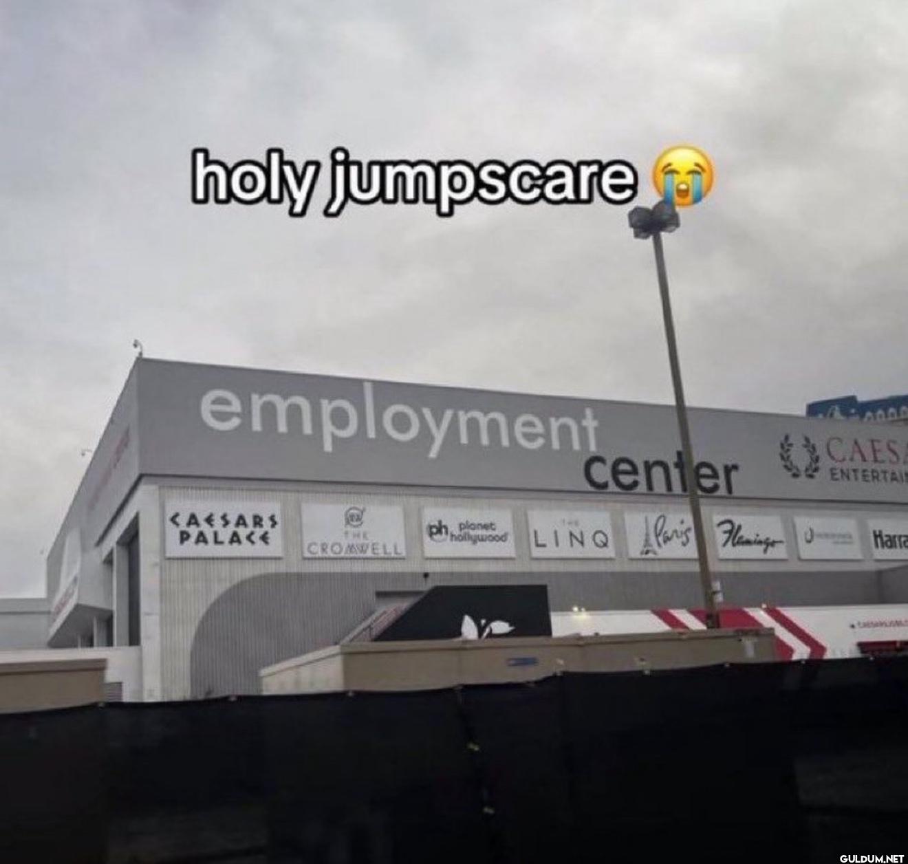 holy jumpscare employment...