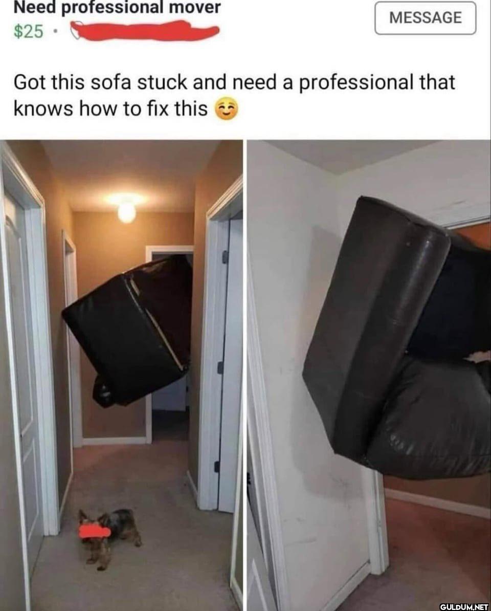 Need professional mover...