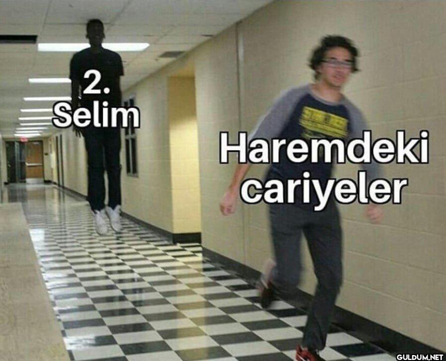 2. Selim Haremdeki cariyeler