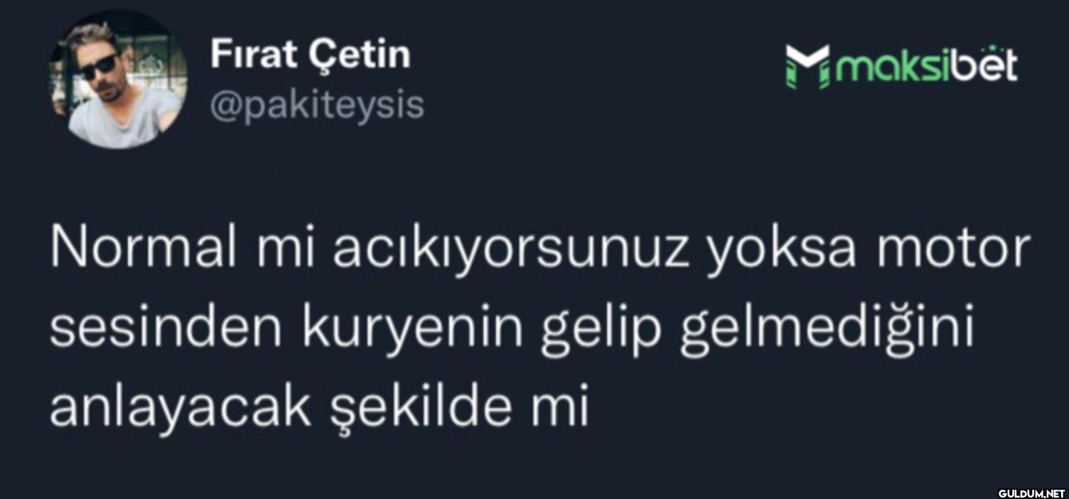 maksibet Normal mi...