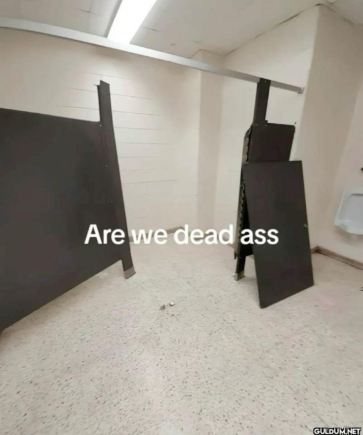 Are we dead ass