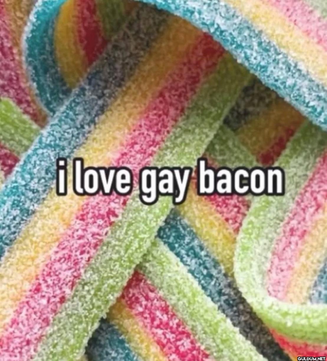 i love gay bacon