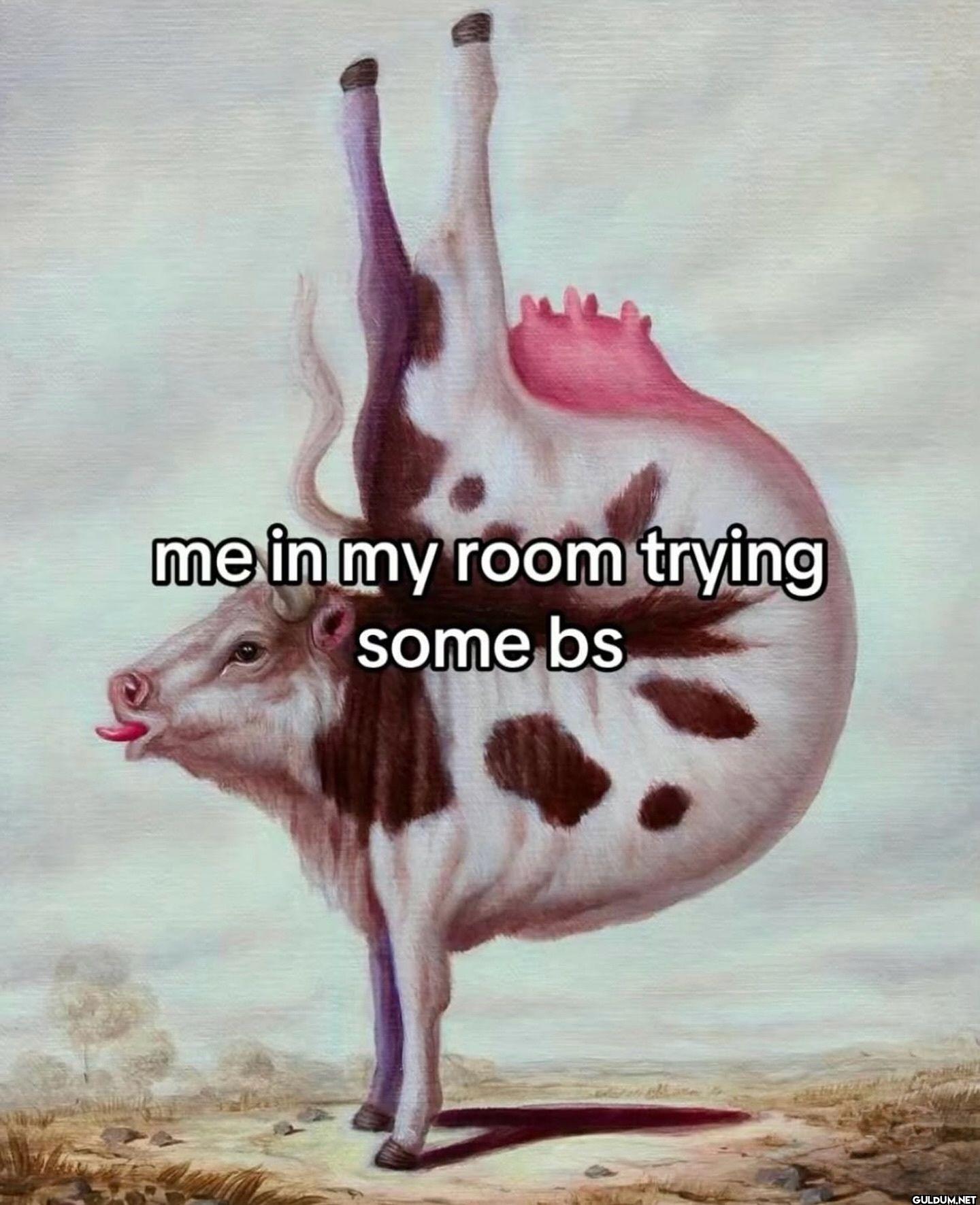 me in my room trying some bs