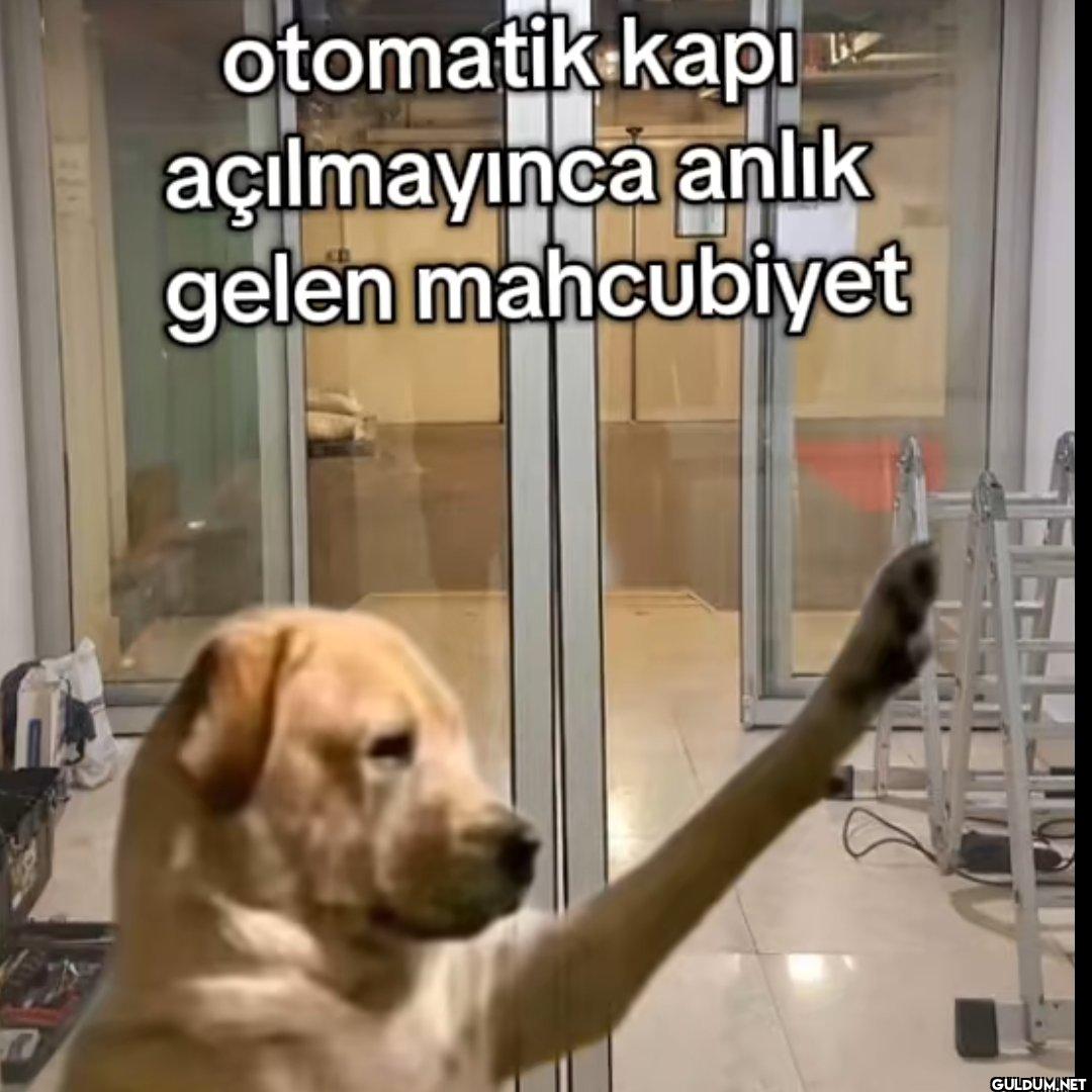 otomatik kapı açılmayınca...