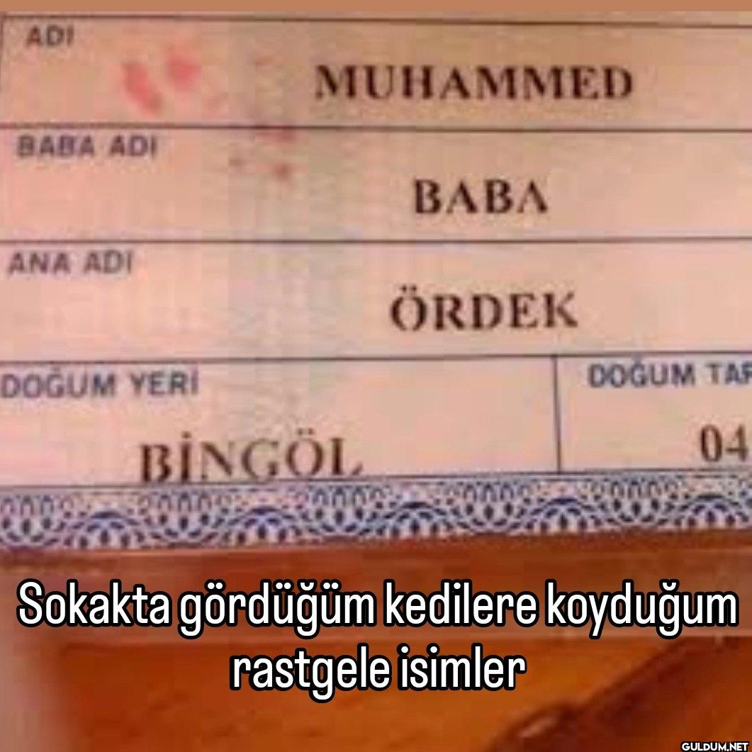ADI BABA ADI MUHAMMED ANA...