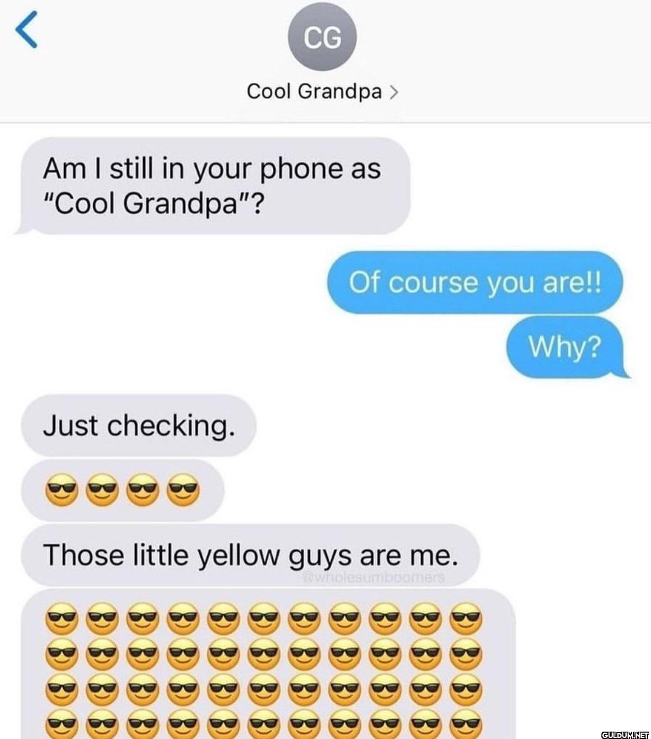 r CG Cool Grandpa > Am I...