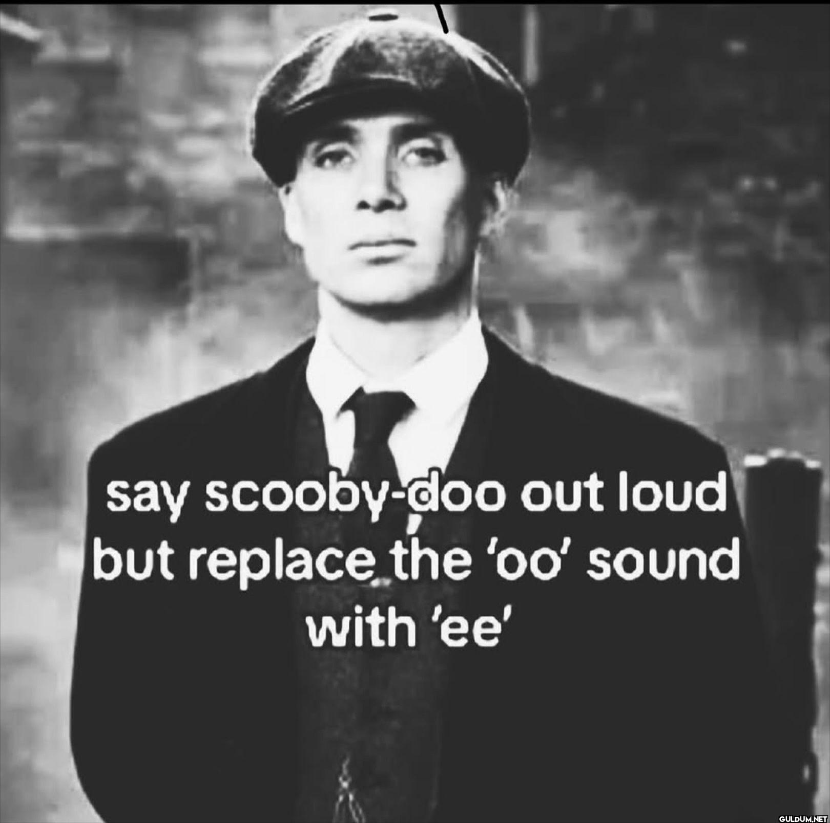 say scooby-doo out loud...