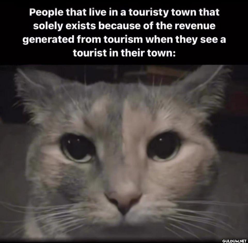 People that live in a...