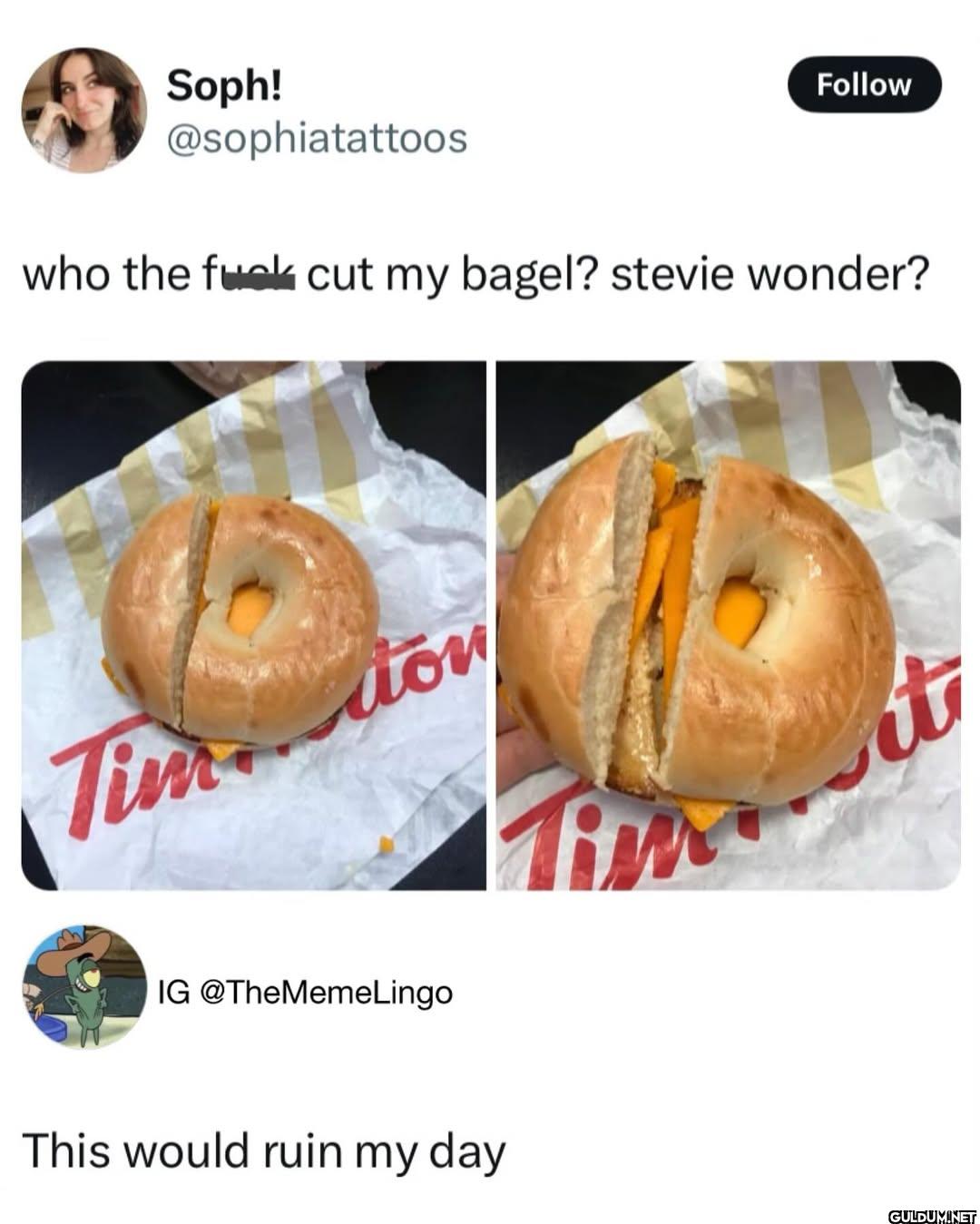 Follow who the fuck cut my...