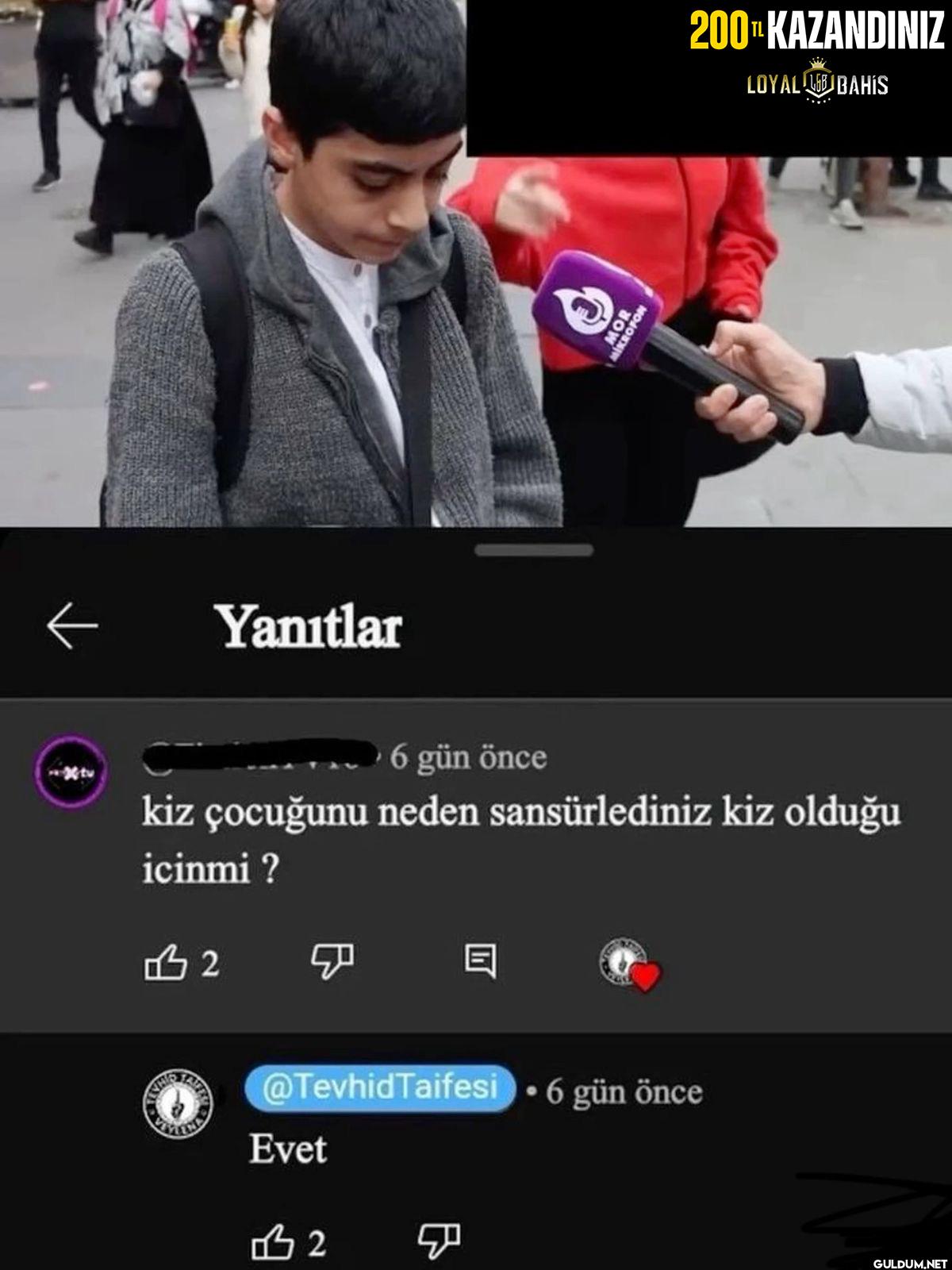 Yanıtlar MOR MIKROFOR...