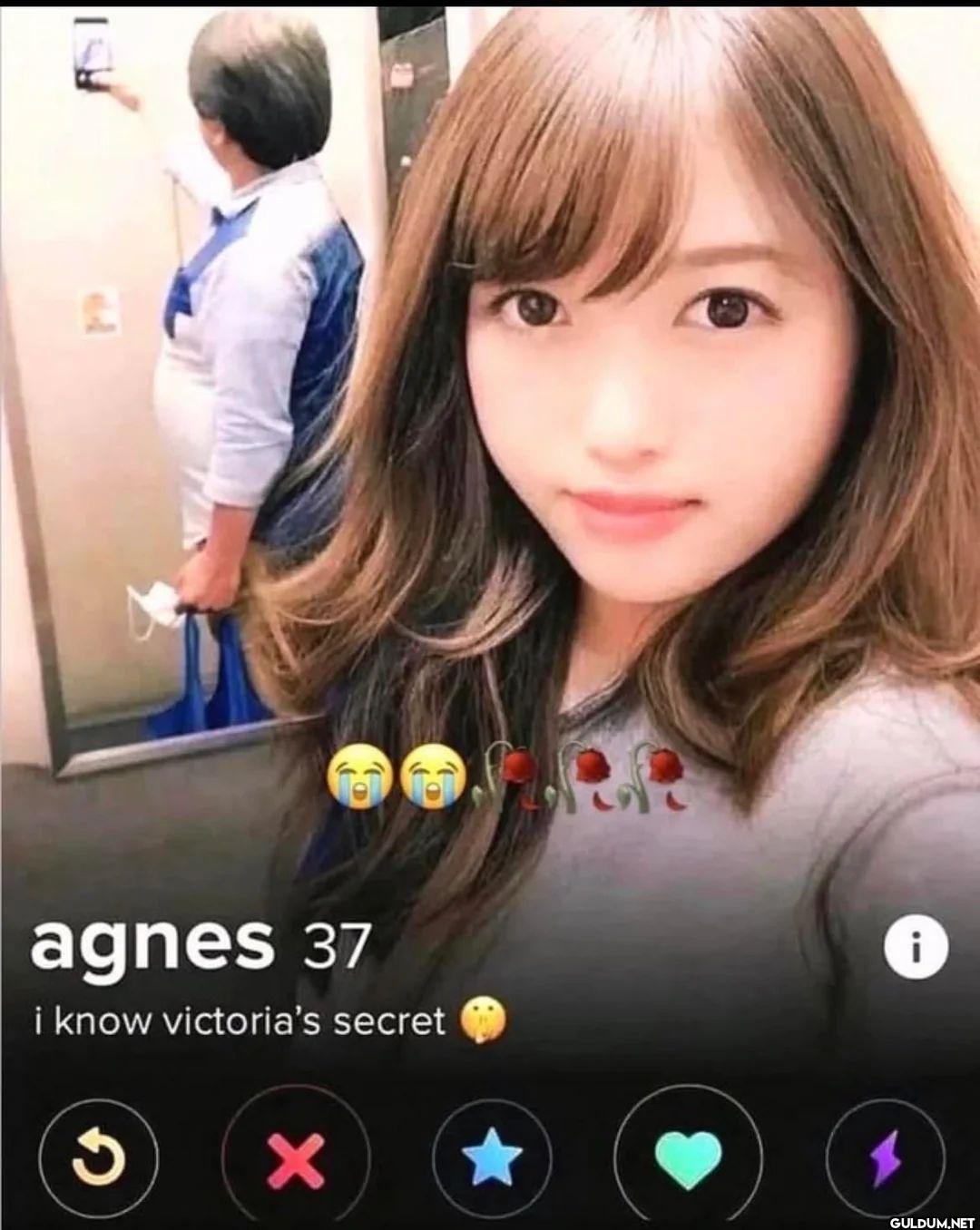 agnes 37 i know victoria's secret