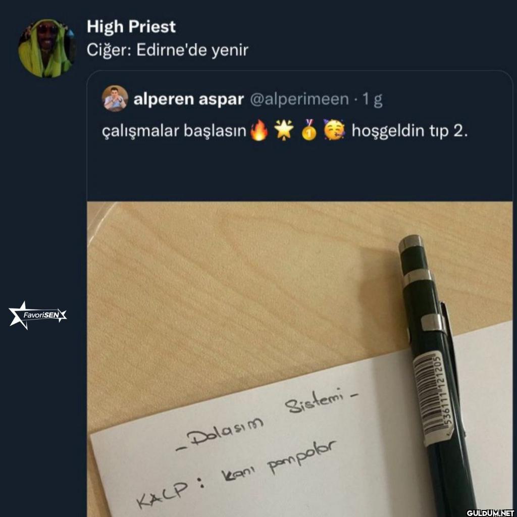 FavoriSEN High Priest...