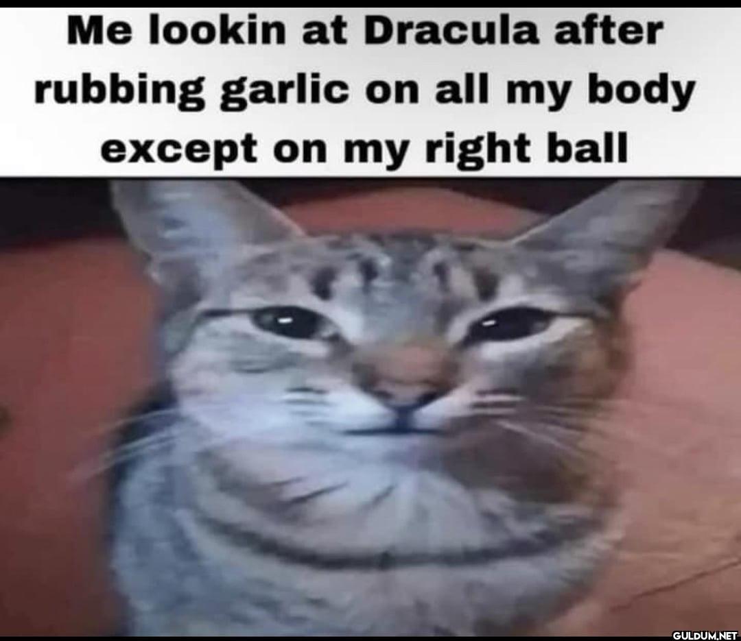 Me lookin at Dracula after...