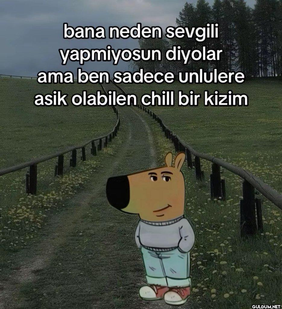 bana neden sevgili...