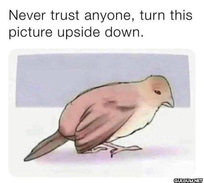 A perfect example of why...