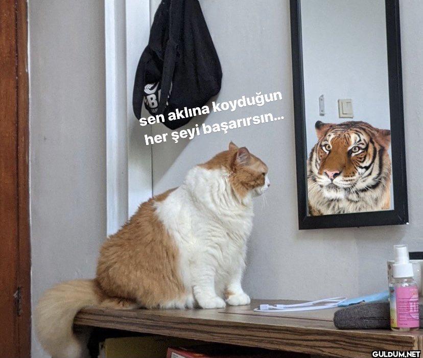 sen aklına koyduğun her...