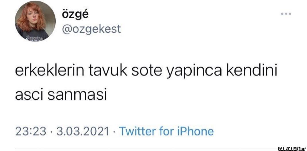 erkeklerin tavuk sote...