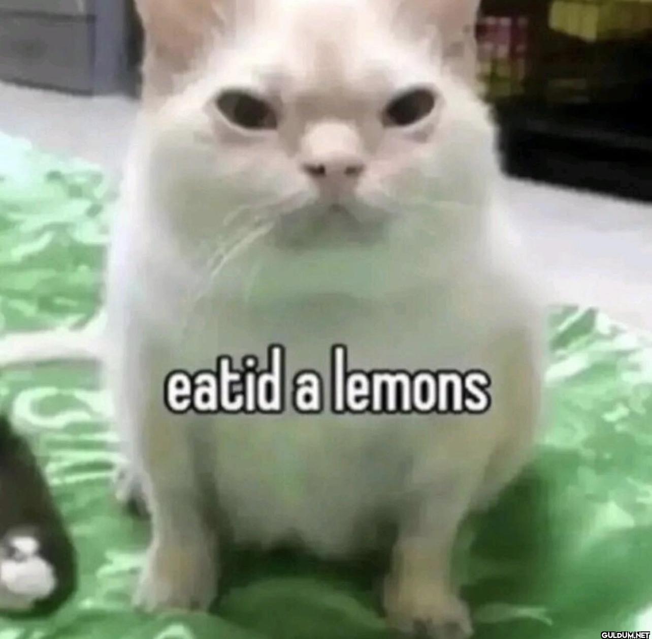eatid a lemons
