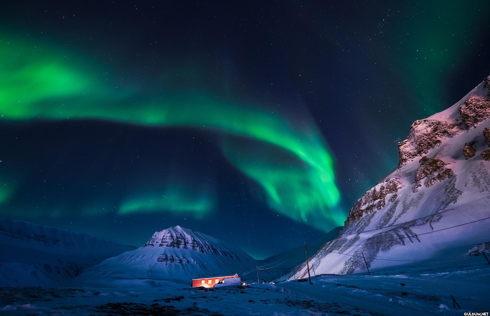 2. Go on a polar adventure...