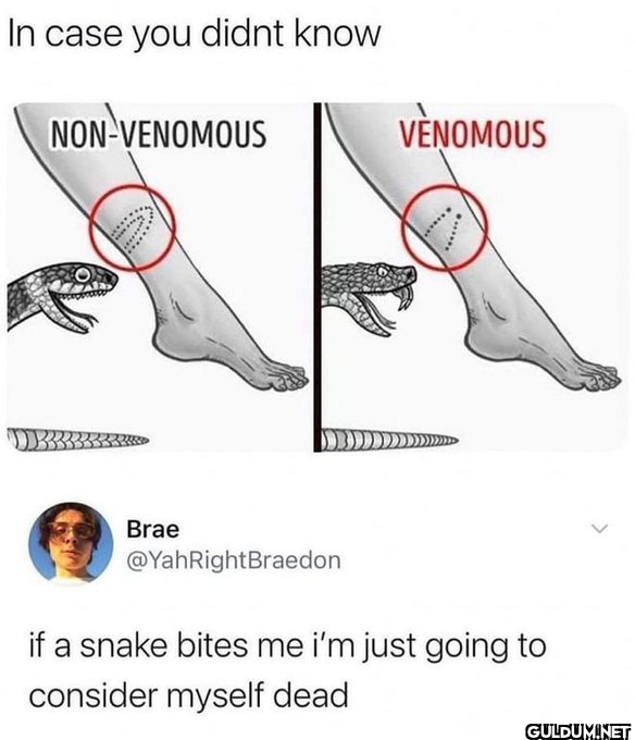 i'd probably do the same  ...