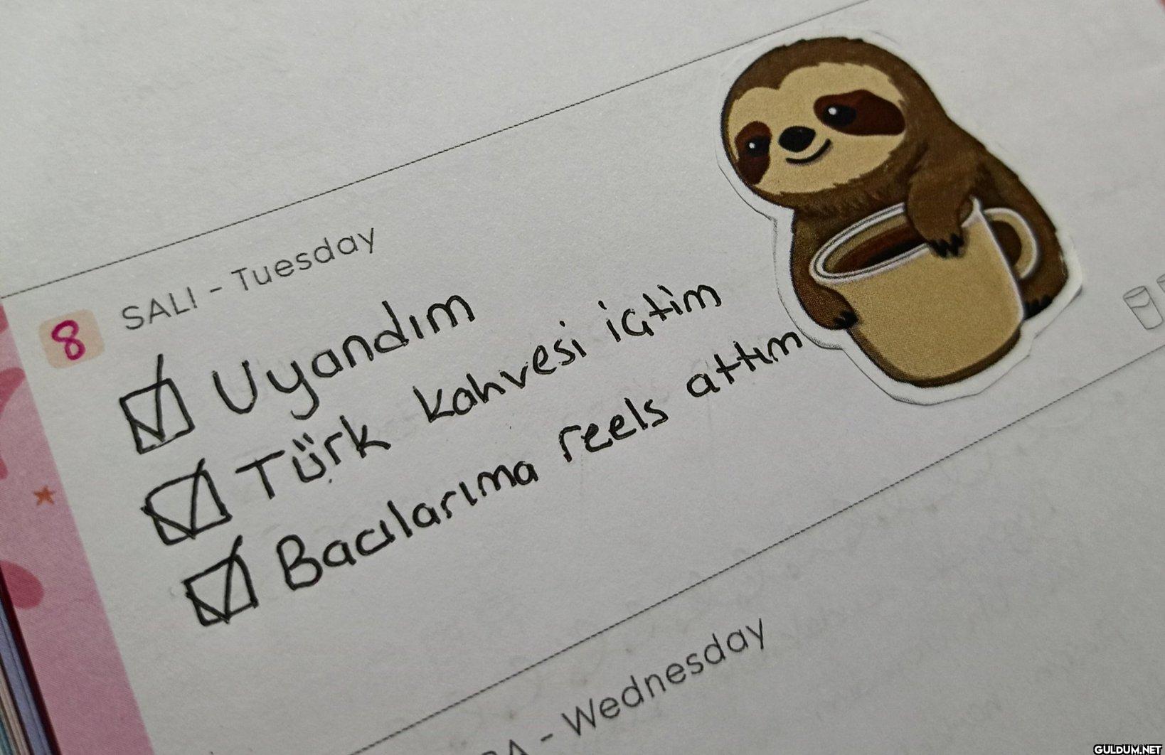 8 SALI - Tuesday ✓ Uyandım...