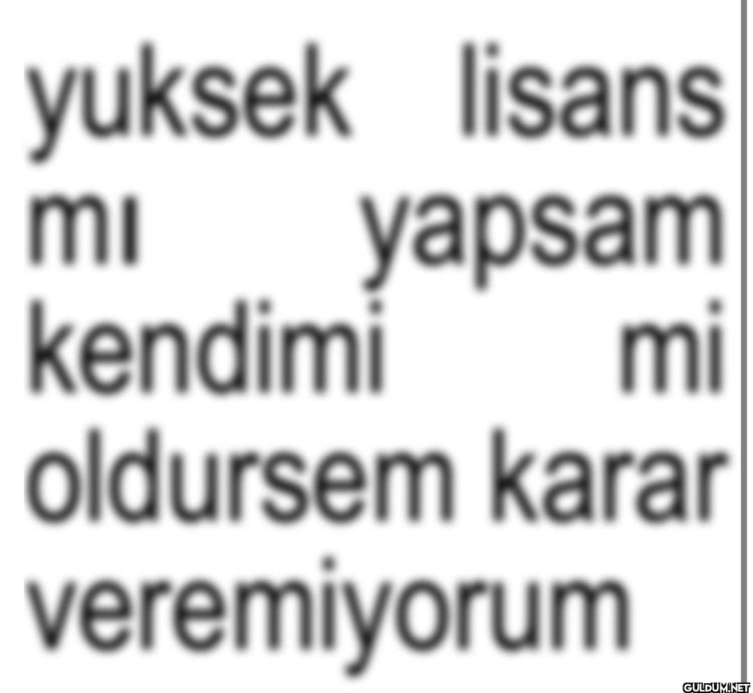 yuksek lisans mi yapsam...