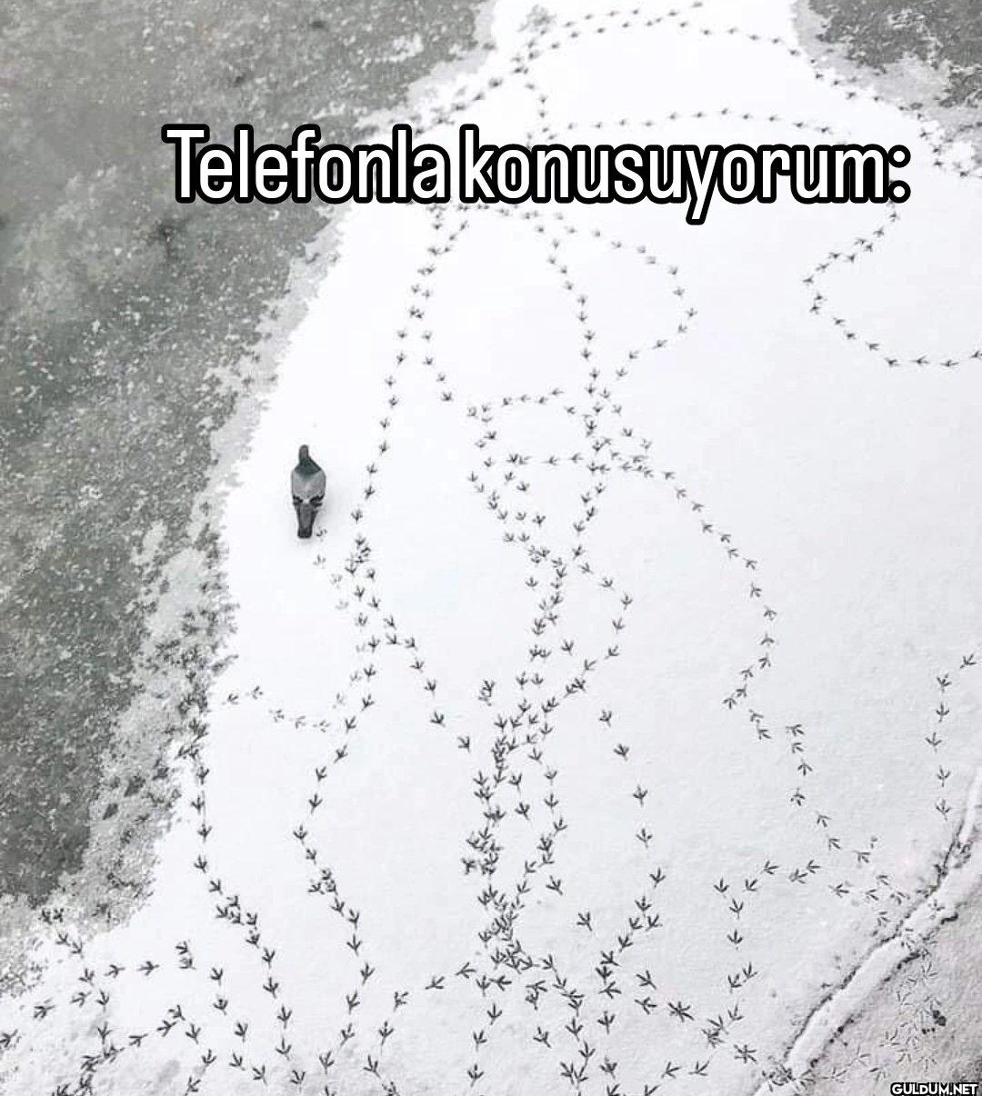 Telefonla konusuyorum: kk
