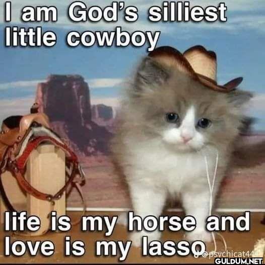I am God's silliest little...