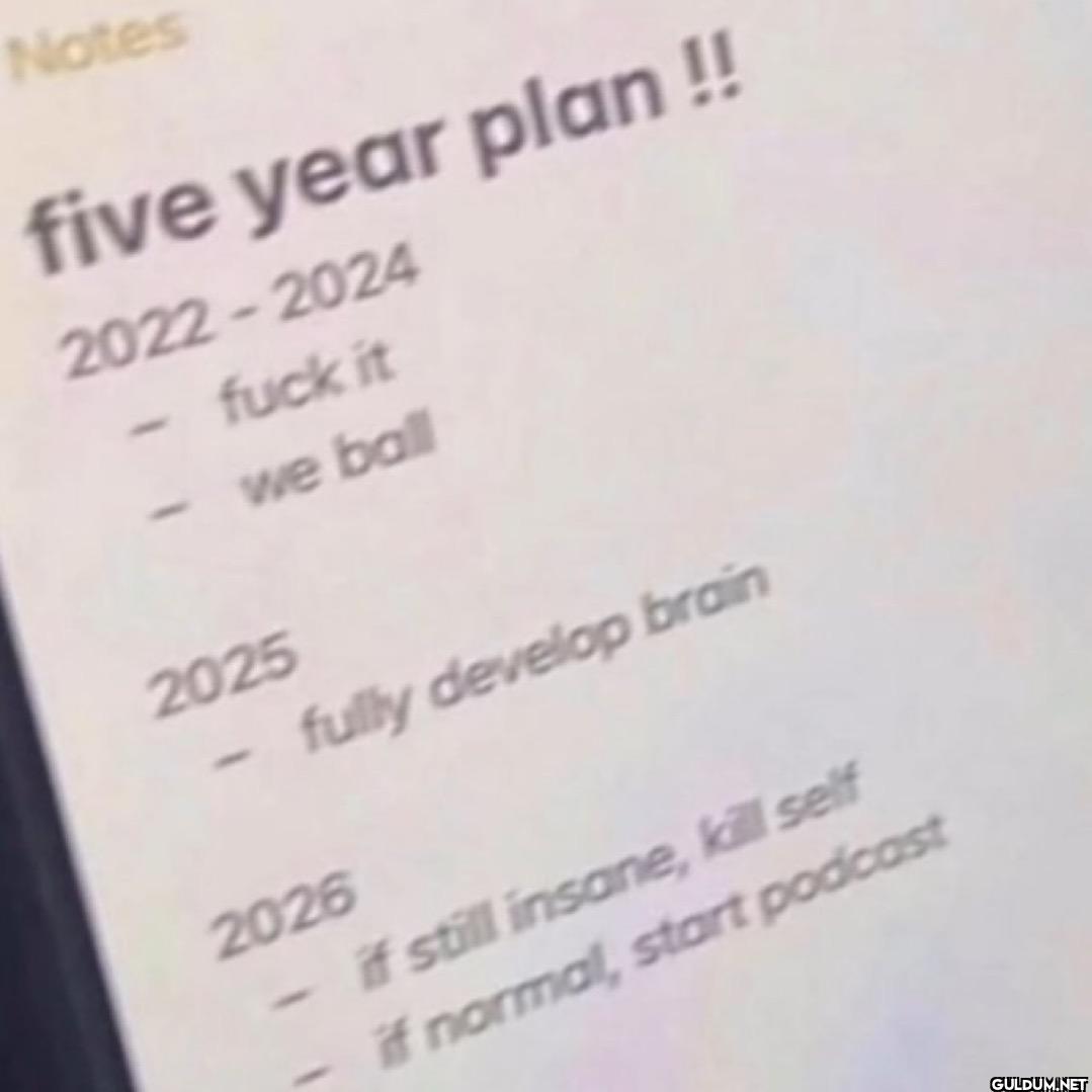 Notes five year plan !!...