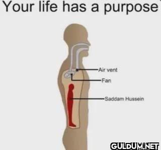 Your life has a purpose...