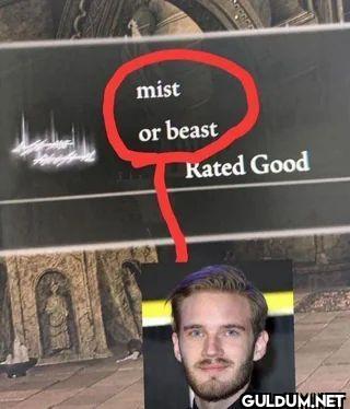 mist or beast Kated Good