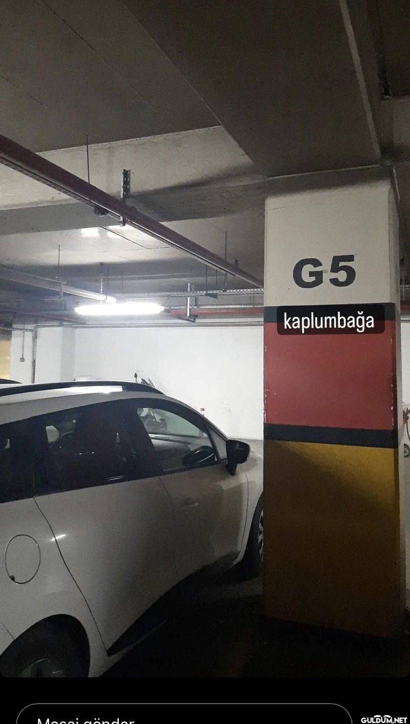 Mocsi wänder O 3 G5 kaplumbağa