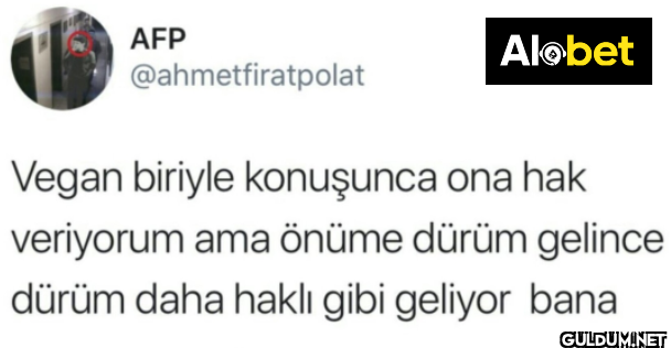 Vegan biriyle konuşunca...