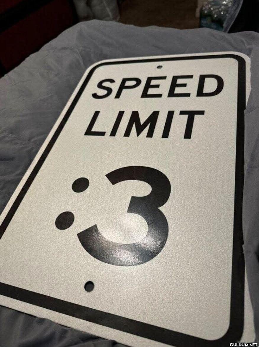 SPEED LIMIT 3
