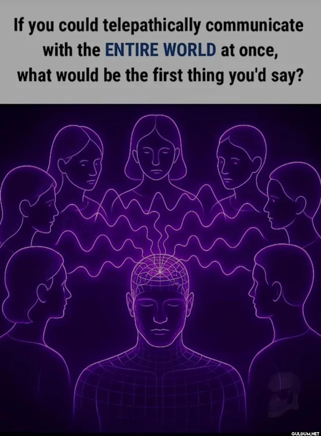 If you could...