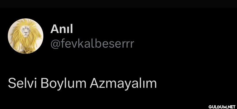 Selvi Boylum Azmayalım