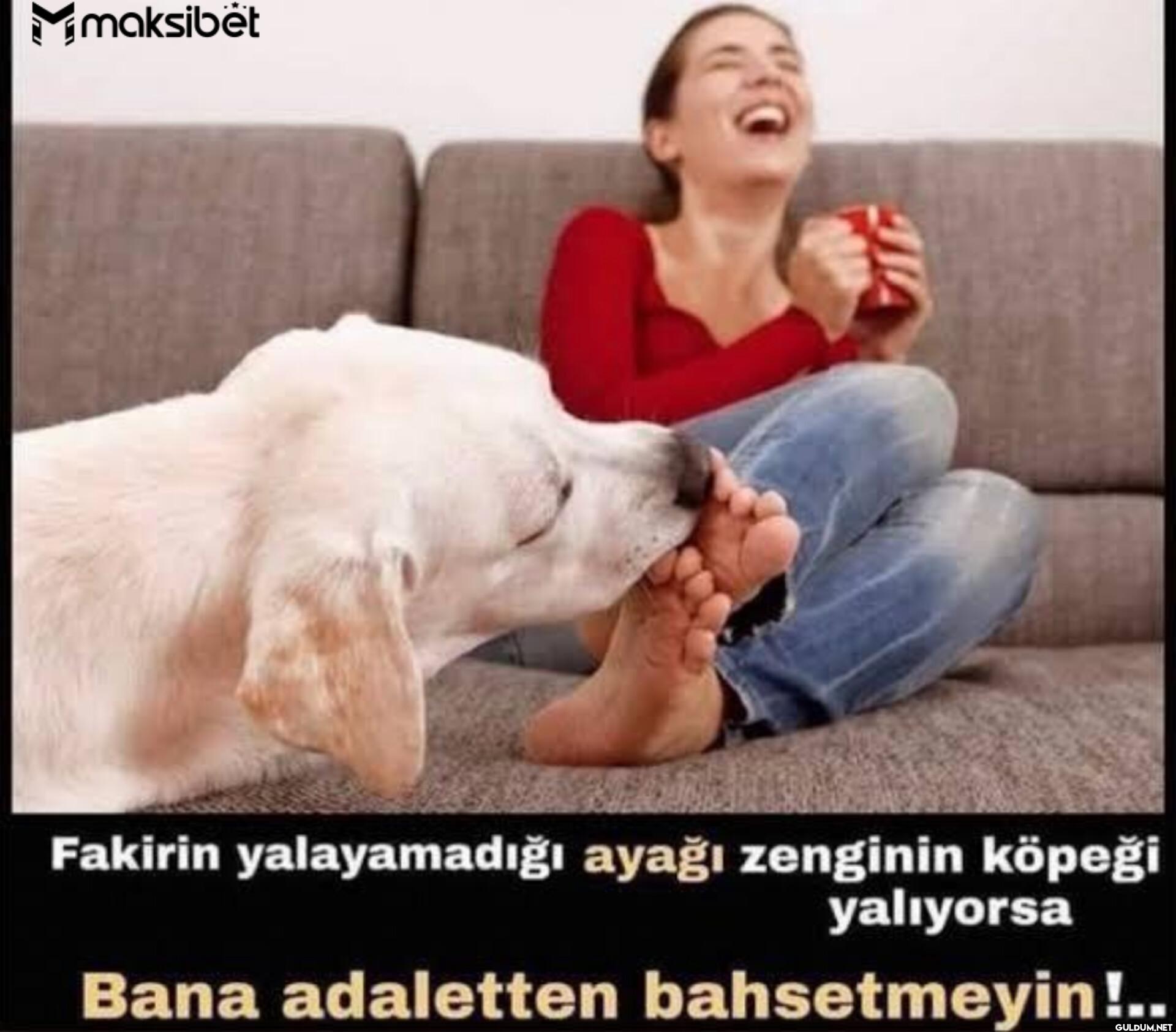 maksibët Fakirin...
