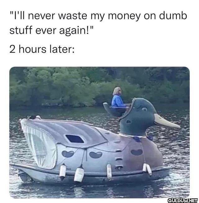 I'll never waste my money...