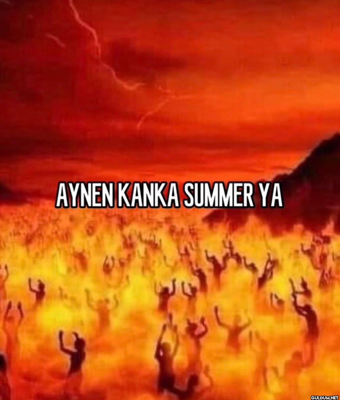 AYNEN KANKA SUMMER YA کھا