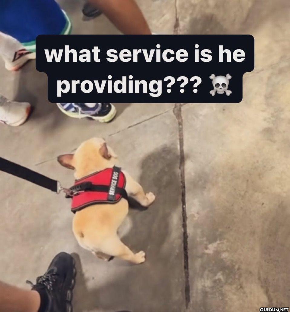 what service is he providing???