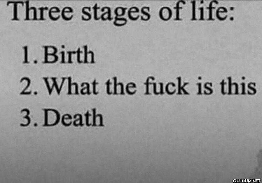 Three stages of life: 1....