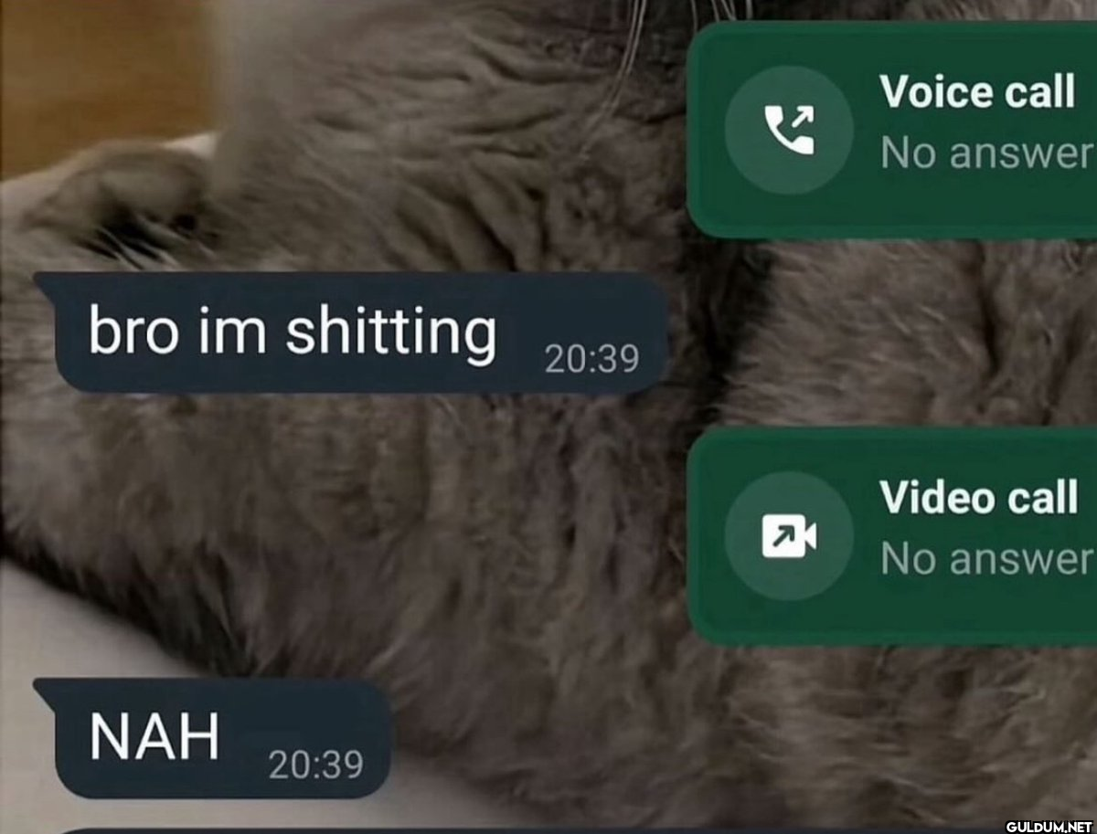 bro im shitting 20:39 NAH...