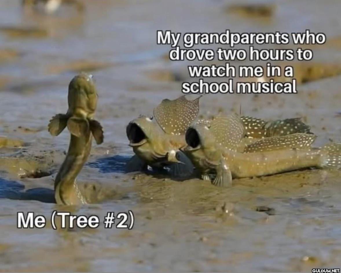 Me (Tree #2) My...