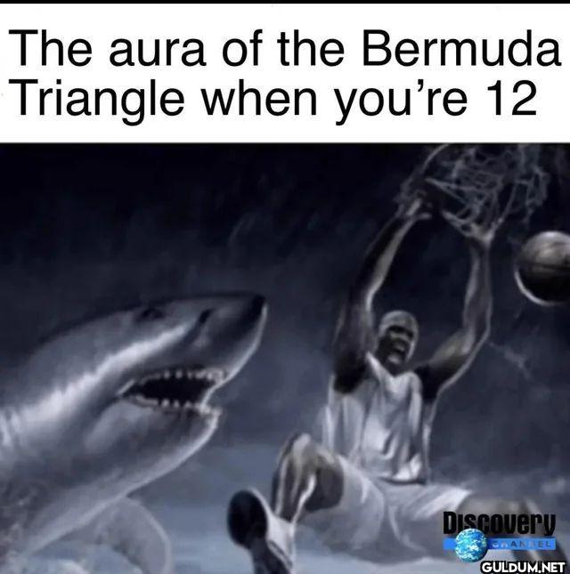 The aura of the Bermuda...
