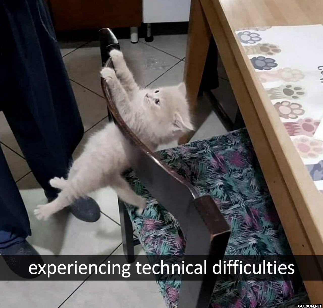 experiencing technical difficulties