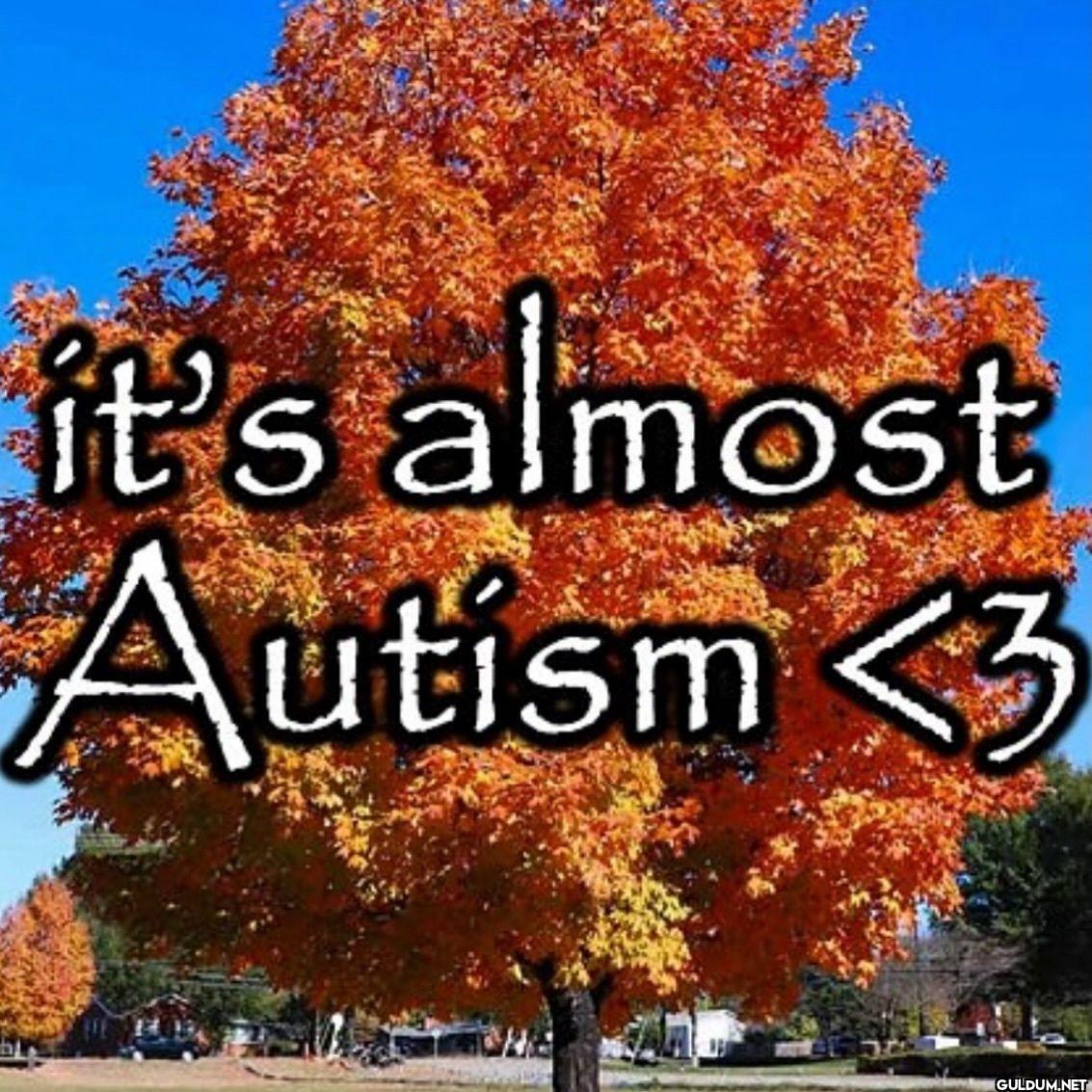 it's almost Autism 3