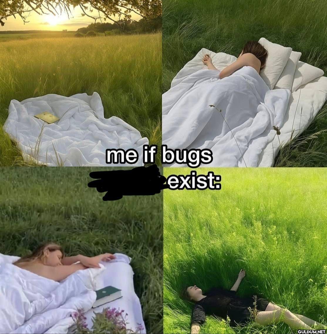 me if bugs exist: